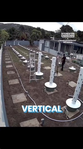 6.7K views · 64 reactions | Vertical farming is a 21st century way of maximizing agricultural output in a small space. It uses cutting-edge technology like aeroponic towers as as-needed watering systems. That lets people grow food for their own use and for sale in much smaller "farms." #viral #farming #farmlife #food #nature | Pure Essence Wellness | Facebook
