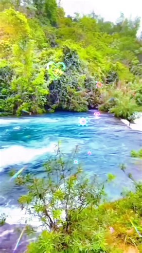 #deku @r1..na yer bird uses deku filter in y9