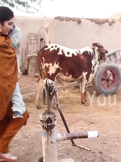 Restore My TikTok Video: Request for Review