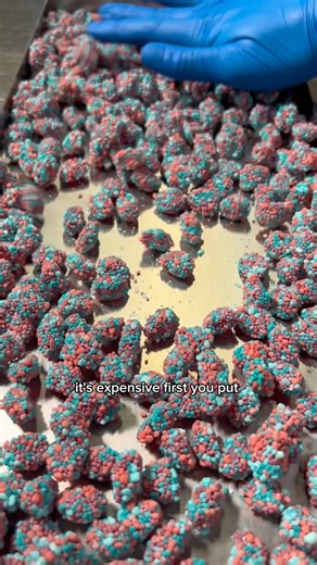 The ONLY freeze dried tutorial you’ll need