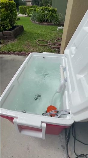 DIY Livewell with water circulation and air pump