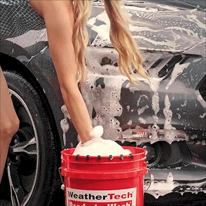 Auto Protection | WeatherTech