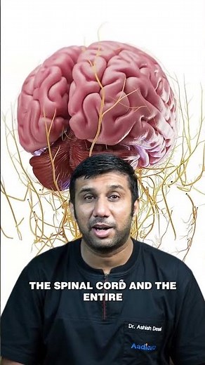 Brain Transplant: Why Your Head Can't Be Swapped.