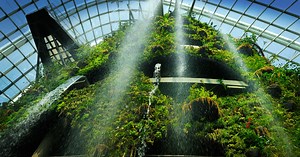 This is how huge it costs for Gardens by the Bay to keep operating