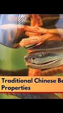 #watch | Snake Wine: A Traditional Chinese Beverage with Medicinal Properties | NewsX
