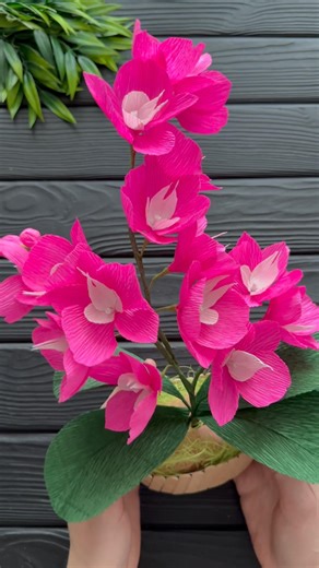 Amazing Orchid basket Easy Crepe Paper Flowers DIY
