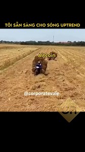 Tôi đã sẵn sàng cho sóng Uptrend #gfi #dautucointot #cryptocurrency #memes | GFI Research