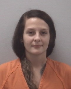 Lexington County Deputies Arrest One Accused of Stealing Puppy