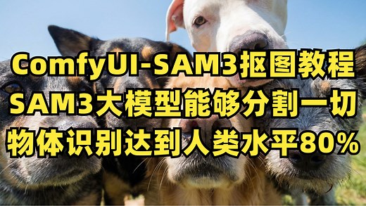 ComfyUI-SAM3抠图教程，SAM3大模型能够分割一切，物体识别达到人类水平80%！
