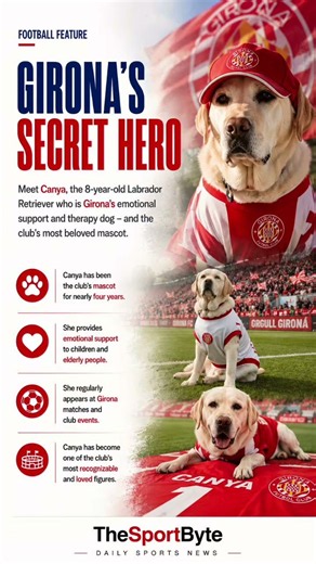 Meet Girona's Secret Hero: The Therapy Dog Loved by Players and Fans