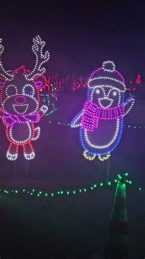 Family Christmas Party Warning! Flashing lights!