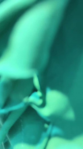 Fashion Try-On Haul: Stylish Outfits to Refresh Your Wardrobe