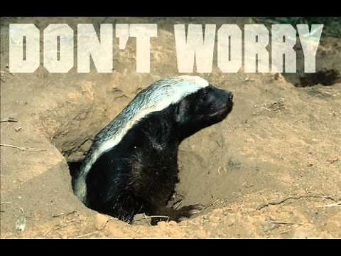 The Honey Badger Song