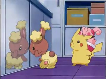 buneary looking at the mirror while pachirisu and gliscor are hungry