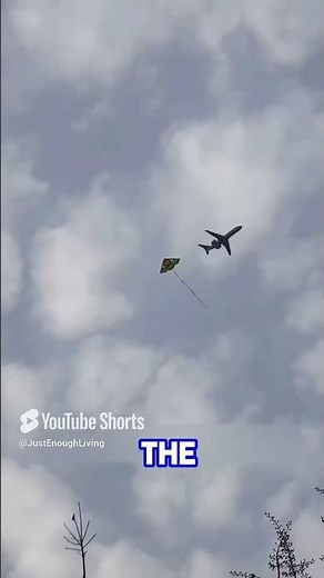 A Kite Flew Higher Than You Think… Even Planes Had to Watch Out!
