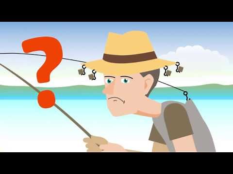 Polarisation – Was ist das eigentlich? | Apollo Optik erklärt‘s