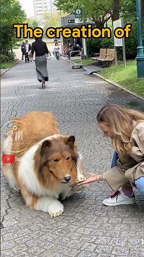 Japanese Man Who Spent $14,000 To Transform Into Dog Takes His First Walk In Public | #smcinematics