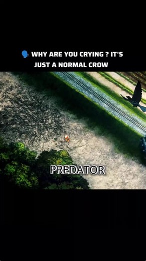 Exploring Demonslayer: A Deeper Look at Anime Edits