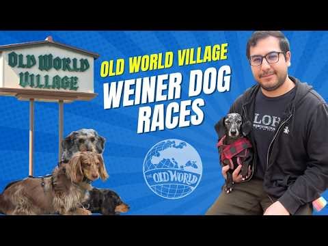 Wiener Dog Races at Old World Village | Huntington Beach | Orange County