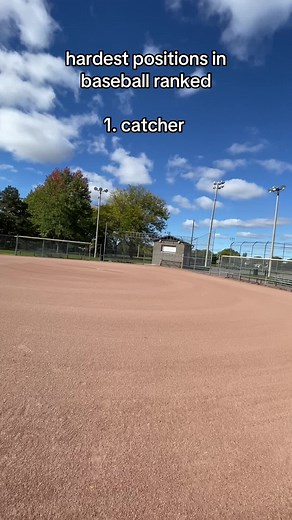 Comparing Pitcher and Designated Hitter Roles in Baseball