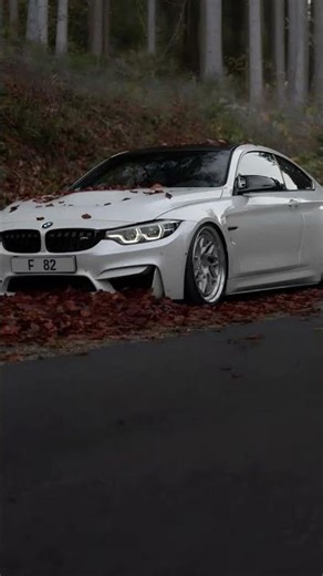 Feel the thrill of the BMW M5! Sleek design, roaring engine, and pure adrenaline on every curve.