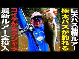 【バス釣り】50アップ釣るならこのルアー！【巨大バスの釣り方】
