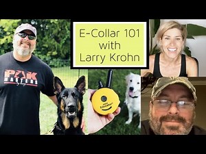E COLLAR 101 with LARRY KROHN | E COLLAR TRAINING FOR DUMMIES
