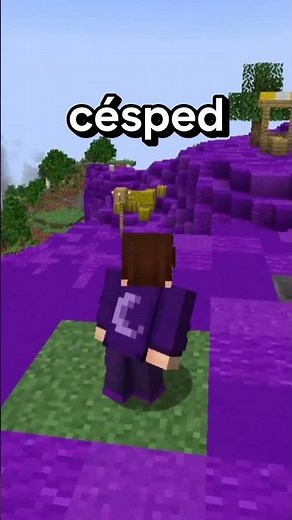 tocar el color morado en Minecraft es ilegal