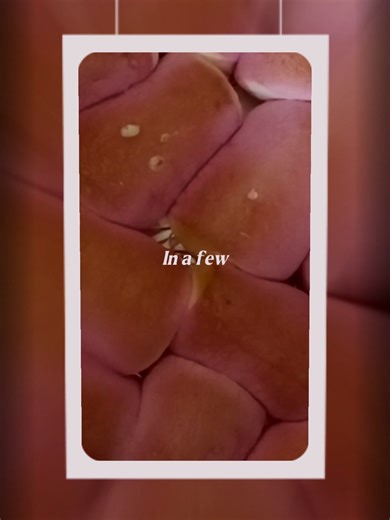 Something a lil' different today. My first time trying smores and it was a 10/10. Be aware it's a very sweet treat. I also tried new angles. I'm loving the way I'm challenging myself and I'm grateful for y'alls support. Day 6/84 Cleared. #beccachronicles #consistencychallenge #smoresdip #airfryerrecipes #studentlife