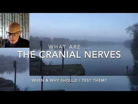 Cranial Nerves: A Clinical Reasoning Guide - The Fireside CPD Sessions