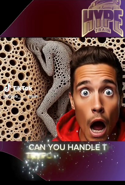 HYPE_TRAIN | TRYPOPHOBIA on TikTok