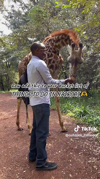 Experience the Wonders of Nairobi Safari Walk - Unleash Your Adventurous Spirit
