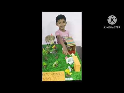 Domestic Animals 1st School Project#schoolprojects#domesticanimals#animals#1stproject#pet animals