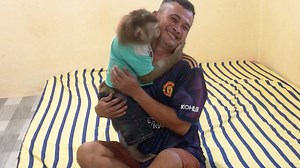 Hilarious Jason Indeed Longing Chance Play Hold Cheek Dad Equilibrium To Kiss | Monkey Jason