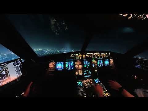 A320 Cockpit POV Landing | Real Airline Pilot Approach & Touchdown in 4K