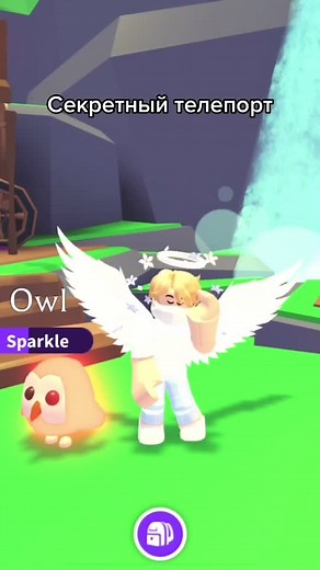 user53447469882 на TikTok