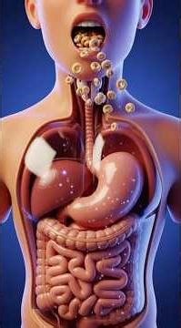 How Your Body Breaks Down Cereal in 60 Seconds #digestion #bodyscience #animation