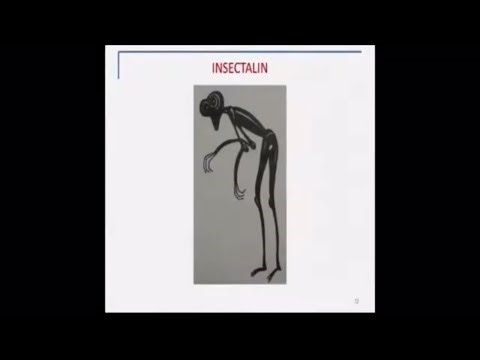 Alien Abduction Researchers present information on Mantis Beings