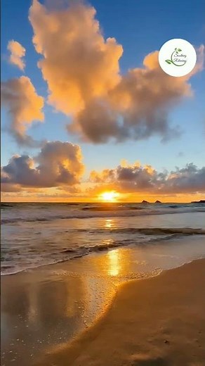 morning relaxing music - happy and positive energy 🌄🎶🎼