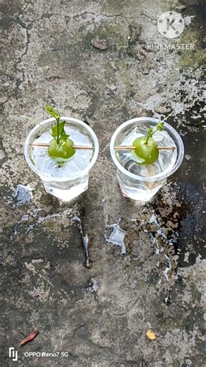 Best way to grow grape at home || Tips grow grape supper fast from the tops off #shorts grape.