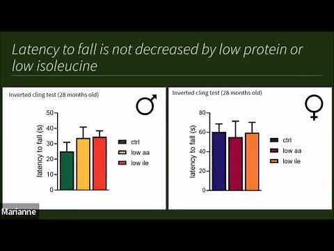 The benifits of isoleucine restriction on lifespan and health by Dr. Cara Green
