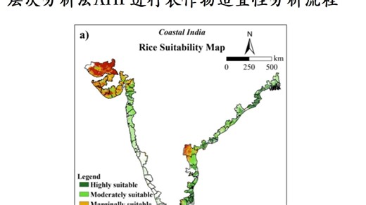 层次分析法AHP进行农作物适宜性分析流程