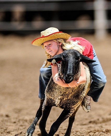 体幹を鍛える効果ありのロデオボーイII、ガレージでのゴルフスイングの合間に、活用方法を思案中です。