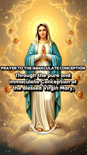 prayer to the Immaculate Conception #immaculateconception #virginmary