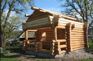 This man lived alone for nearly 30 years in the Mountains of Alaska in a log cabin which he built with his own hands ... What do you think? | Mechanic