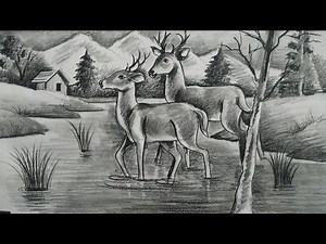 how to draw deer with pencil sketch scenery,how to draw forest scenery step by step,animals drawing