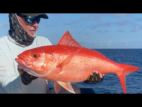 Trophy Queen Snapper Fishing 30 mi. off Florida Keys | Florida Sport Fishing TV LIVE