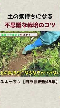 Getting in Touch with the Soil: Secret Tips for Natural Gardening