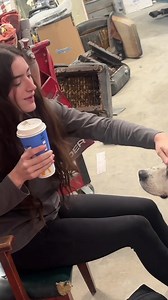 🙄 Rust Bros Restorations #cassidymceown #rustbros #rustvalleyrestorers #mikehall #wildmangarage #carrestoration #classiccars #carrepair #funny #carshop #carfix | Cassidy Mceown