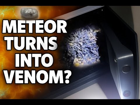 Meteorite in Panama Video Real or Fake: Venom Like Creature or Alien Lifeform?